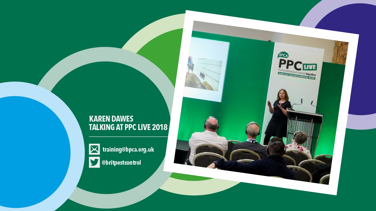 Karen talking at PPC Live 2018